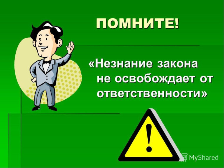 Профилактика правонарушений.